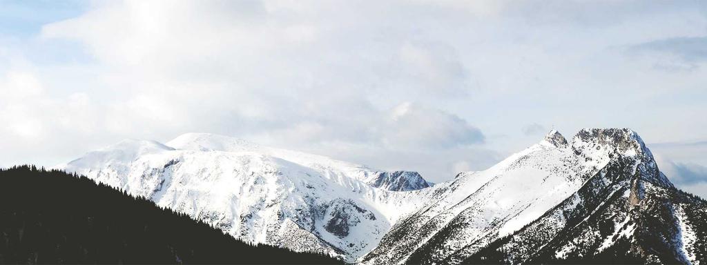 Foto di copertina