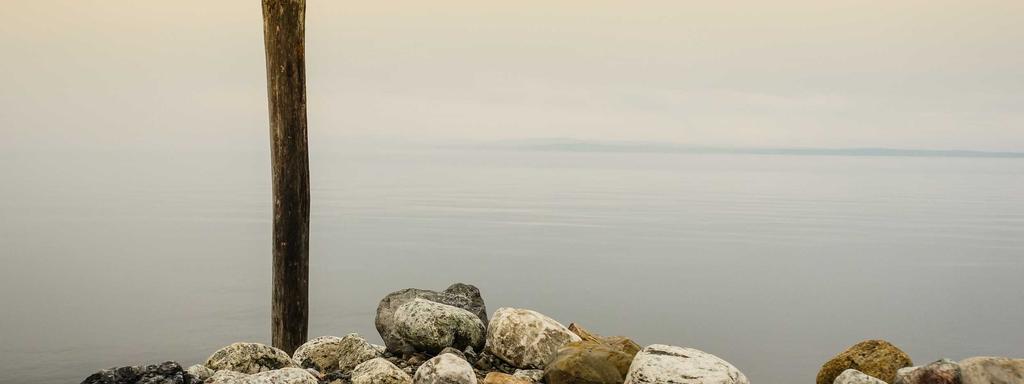 Foto di copertina