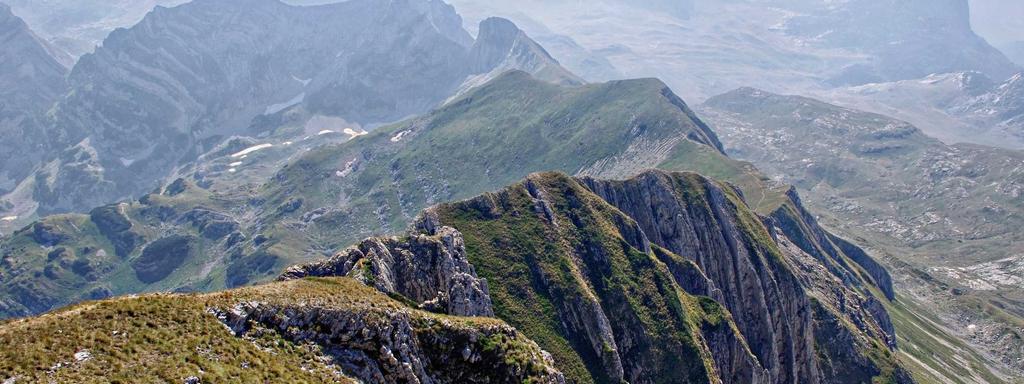 Foto di copertina
